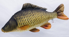 Fish pillow Carp - lenght 64 cm