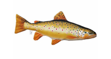 Fish pillow THE BROWN TROUT - 62 cm