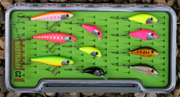 Discounted set rainbow trout 2024