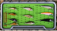 Discounted set brown trout 2024 BL