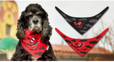 Scarf for dog - RedBass 