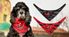 Scarf for dog - RedBass 